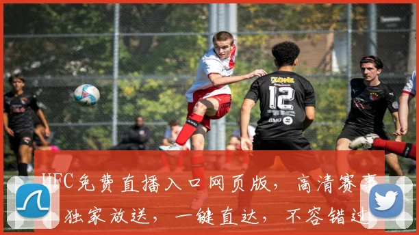 UFC免费直播入口网页版,高清赛事,独家放送,一键直达,不容错过,三重惊喜,等你来探